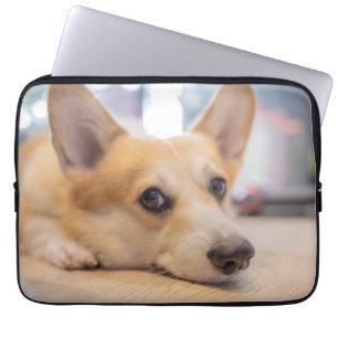 Funda Para Portátil Animales de bebé más afectados   Corgi Puppy en el