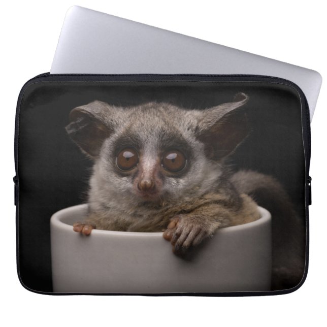 Funda Para Portátil Animales de bebé más afectados | Cute Bushbaby (Frente)