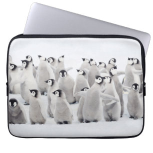 Funda Para Portátil Animales de bebé más afectados Emperador Pingüin