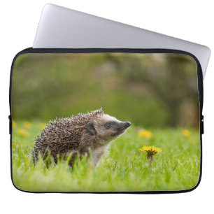 Funda Para Portátil Animales de bebé más afectados   Erizo europeo