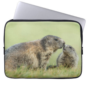 Funda Para Portátil Animales de bebé más afectados Familia de marmot