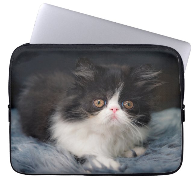 Funda Para Portátil Animales de bebé más afectados | Fluffy B&W Kitten (Frente)