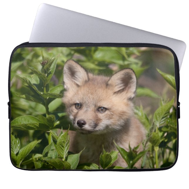 Funda Para Portátil Animales de bebé más afectados | Fox Kit (Frente)