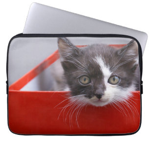 Funda Para Portátil Animales de bebé más afectados   Gatito blanco y n