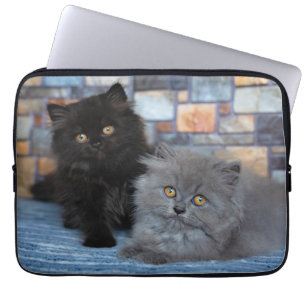 Funda Para Portátil Animales de bebé más afectados Gatitos persas en