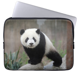 Funda Para Portátil Animales de bebé más afectados Gigante Panda Bab