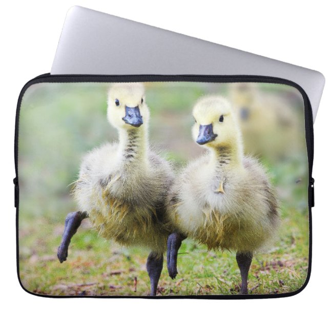 Funda Para Portátil Animales de bebé más afectados | Goslings Canadien (Frente)