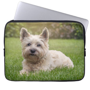 Funda Para Portátil Animales de bebé más afectados Perro Cairn Terri