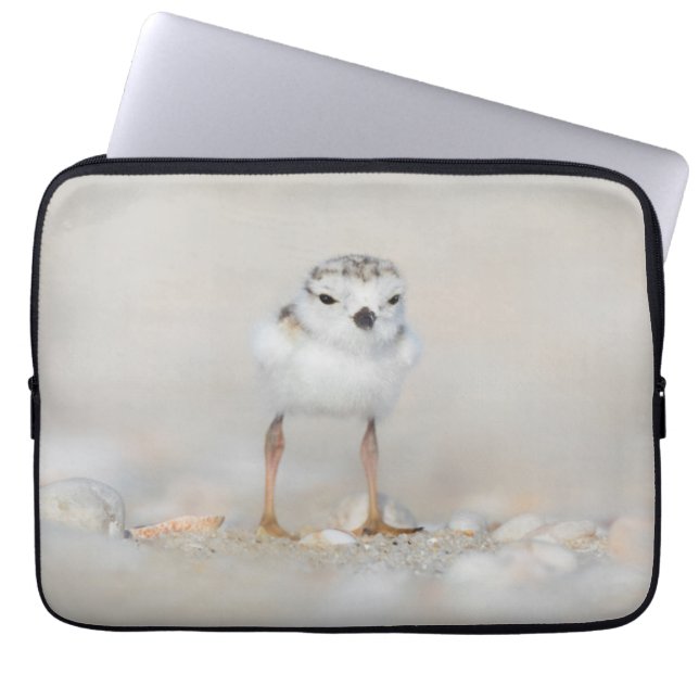 Funda Para Portátil Animales de bebé más afectados | Piping Plover Chi (Frente)