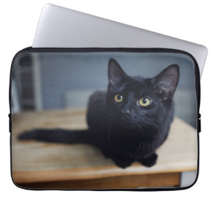 Funda Para Portátil Animales de bebé más afectados   Retrato de un gat