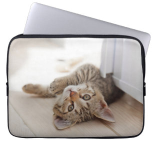 Funda Para Portátil Animales de bebé más afectados   Shorthair Tabby K