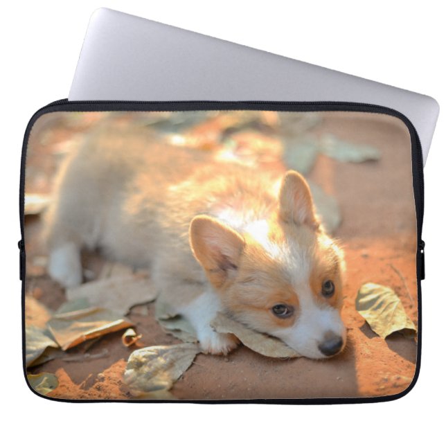 Funda Para Portátil Animales de bebé más afectados | Shy Corgi (Frente)