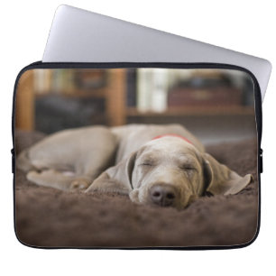 Funda Para Portátil Animales de bebé más afectados   Weimaraner Puppy 