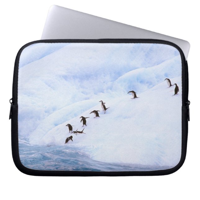 Funda Para Portátil Antártida, Península Antártica. Chinstrap (Frente)