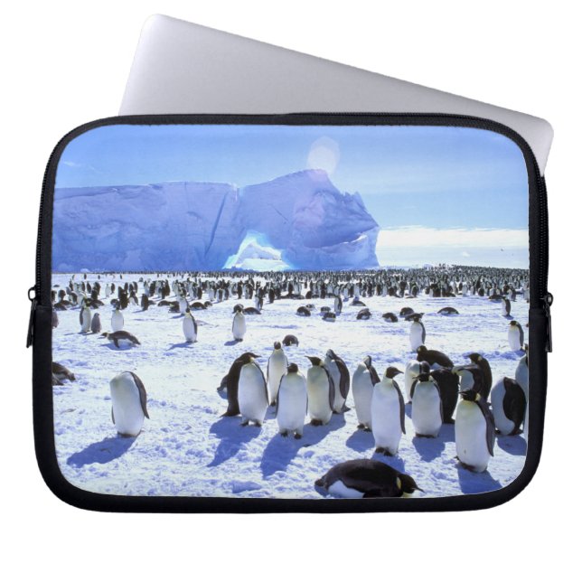 Funda Para Portátil Antártida, Península Antártica, Mar de Weddell, 5 (Frente)