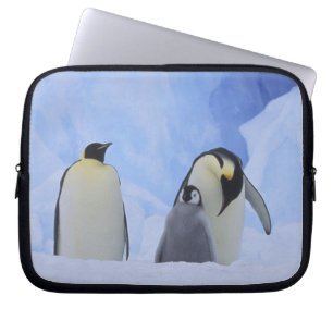 Funda Para Portátil Antártida. Pingüinos emperador y cría