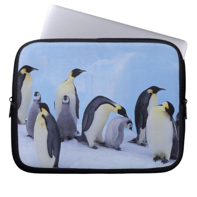 Funda Para Portátil Antártida, Pingüinos Emperadores (Frente)