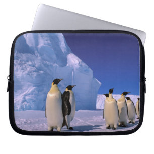 Funda Para Portátil Antártida, Territorio Antártico Australiano, 7