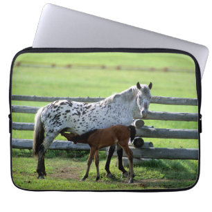 Funda Para Portátil Apaloosa Mare y Caballos de Colt