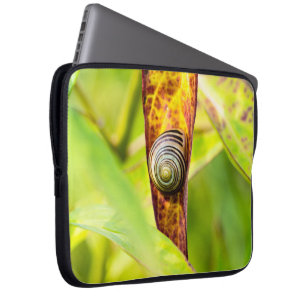Funda Para Portátil apego