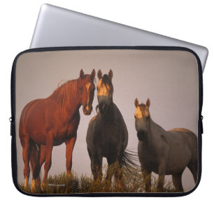 Funda Para Portátil Árabes en la puesta del sol