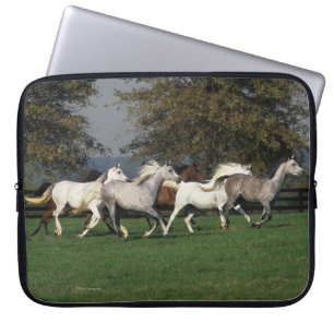 Funda Para Portátil Árabes que corren en campo
