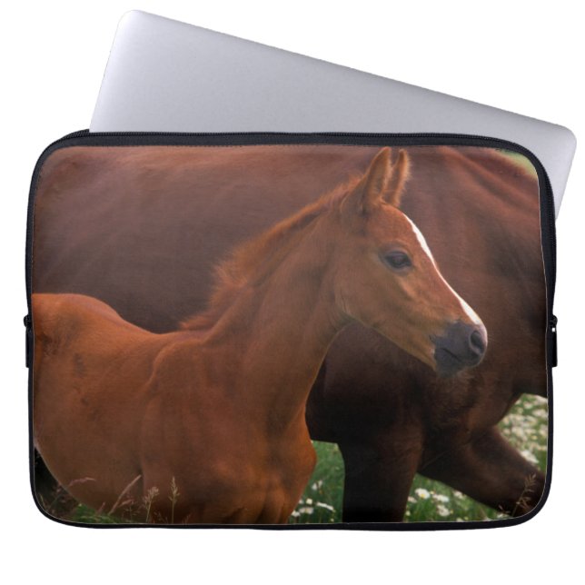Funda Para Portátil Arabian Horse Near Mother (Frente)