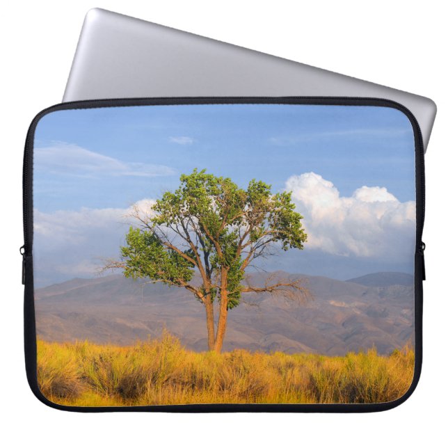 Funda Para Portátil Árbol (Frente)