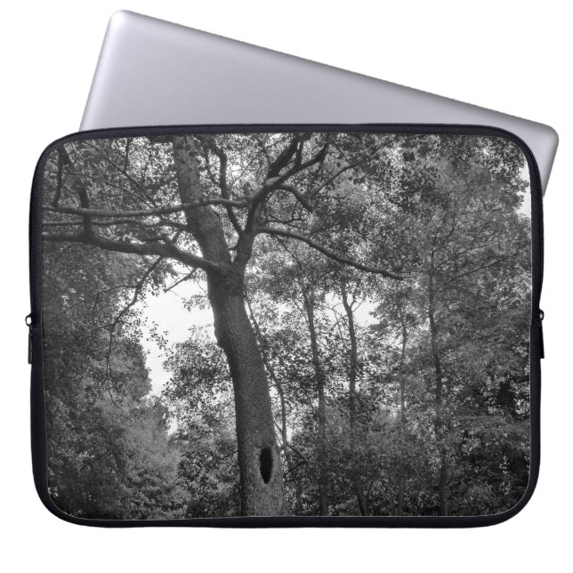 Funda Para Portátil Árbol con un agujero misterioso (Frente)