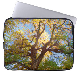 Funda Para Portátil Árbol de algodón Parque Nacional Capitol Reef, U