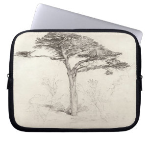 Funda Para Portátil Árbol de cedro viejo en el jardín botánico,