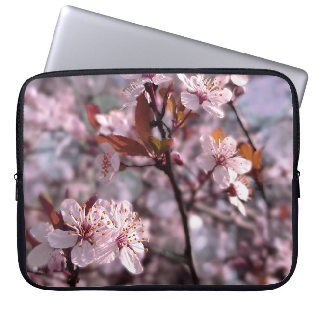 Funda Para Portátil Árbol de ciruela de cerezo rosa (Frente)