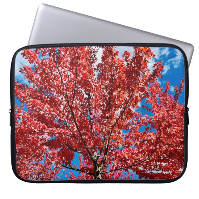Funda Para Portátil Árbol de hojas rojas en otoño (Frente)