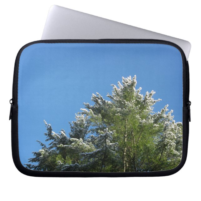 Funda Para Portátil Árbol de pino con puntas de nieve en cielo azul (Frente)