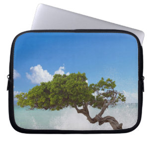 Funda Para Portátil Árbol Divi Divi, Playa Eagle, Aruba, Caribe