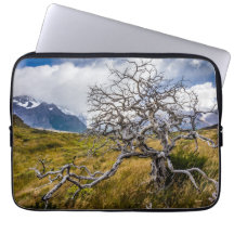 Árbol quemado, Torres del Paine, Chile