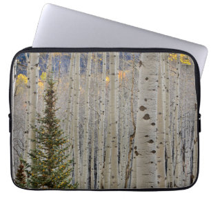 Funda Para Portátil Arboledas de Aspen de Otoño Montañas Rocosas de