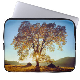 Funda Para Portátil Árboles de roble negro   Bosque Nacional Cleveland