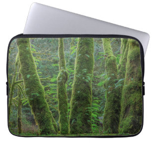 Funda Para Portátil Arces de hoja grande y helechos   Estado de Washin
