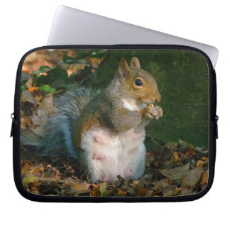 Funda Para Portátil Ardilla gris 02