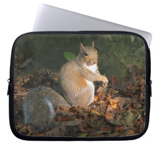 Funda Para Portátil ardilla gris 03
