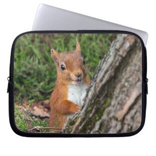 Funda Para Portátil ardilla roja