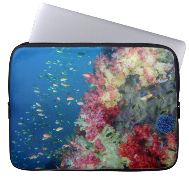 Funda Para Portátil Arrecife de coral subacuático, Indonesia (Frente)