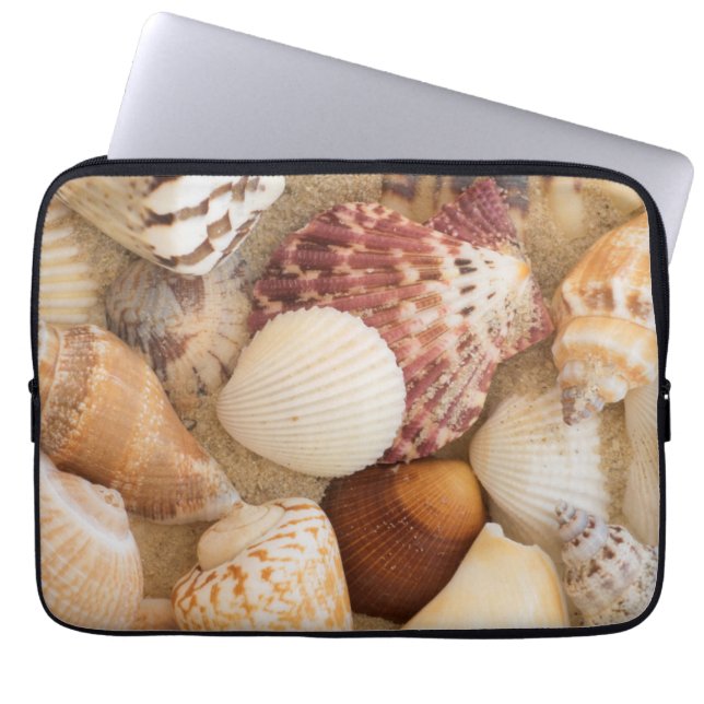 Funda Para Portátil Arreglo del Seashell (Frente)
