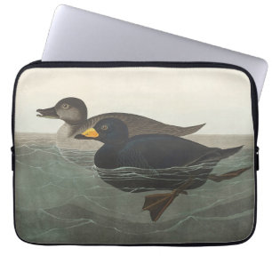 Funda Para Portátil Arte de pato americano scoter vintage de Audubon