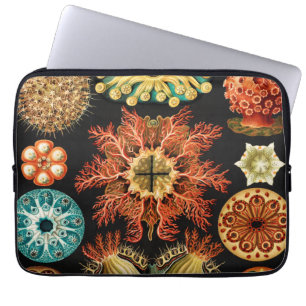 Funda Para Portátil Ascidiae, Seescheiden Vida Marina por Ernst Haecke