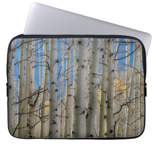 Funda Para Portátil Aspen Groves Montañas Rocosas de Colorado