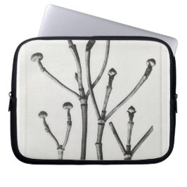 Funda Para Portátil Au Naturel Botanical Print