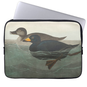 Funda Para Portátil Audubon American Scoter Duck