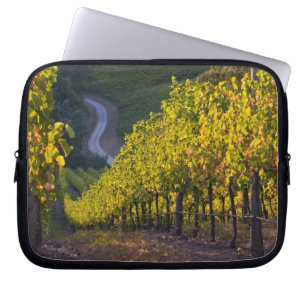 Funda Para Portátil Australia Meridional, Adelaide Hills, Summertown.